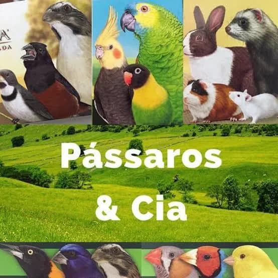 Passaros e Cia SP