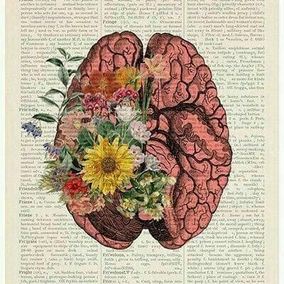 Ciências Da Natureza E Exatas — grupos de WhatsApp