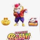 Dicas e Estratégias #11