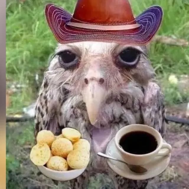 Resenha Solta — grupos de WhatsApp