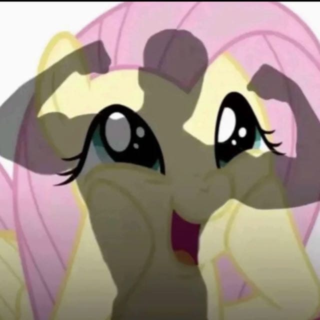 En Celo — grupos de WhatsApp