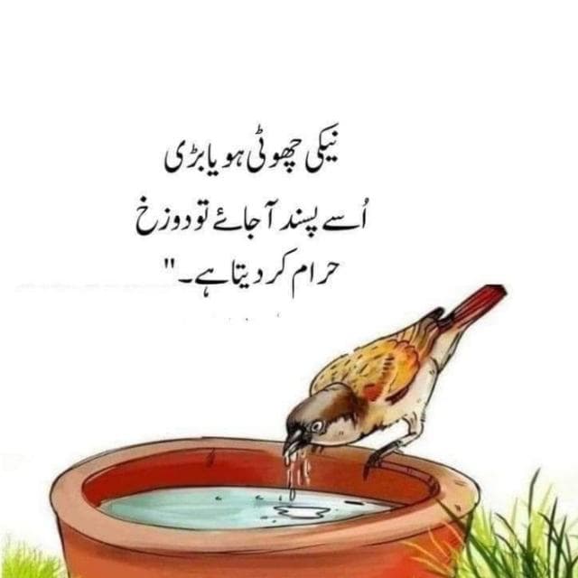 F song — grupos de WhatsApp