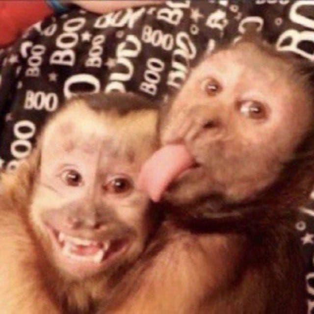 Grupo Na Bio — grupos de WhatsApp