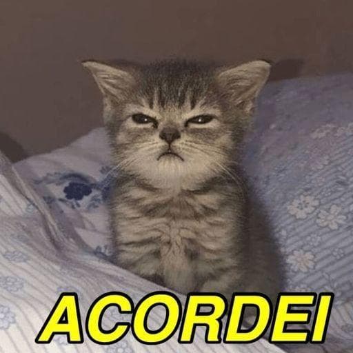 Figurinhas e Etc