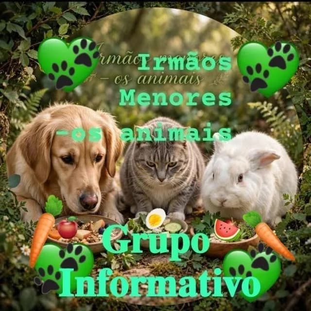 Irmãos Menores Os Animais