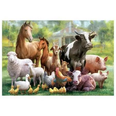 Venda e Troca de Animais RJ