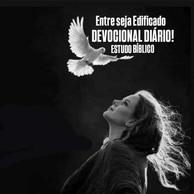 Projeto Missionário Seja Edificado — grupos de WhatsApp