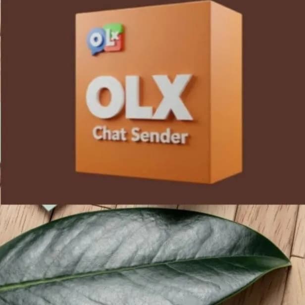 Olx SP Ddd 011 Ate 019