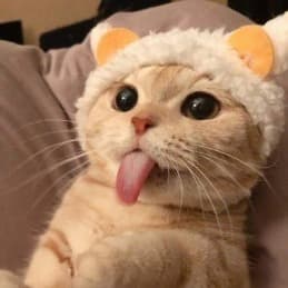 Made in China — grupos de WhatsApp