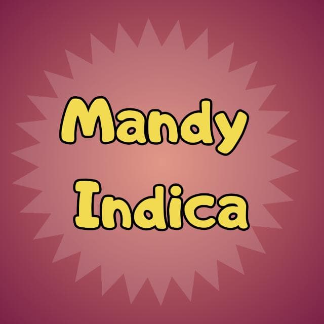 #2 Mandyindica - Achadinhos e Promocoes — grupos de WhatsApp