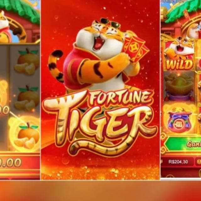 Melhores Plataformas Pagantes E Sinais