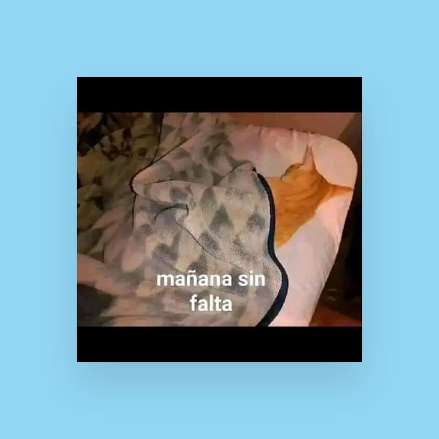 Memes — grupos de WhatsApp