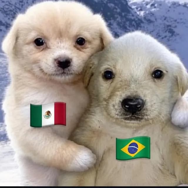 Amigos Y Amigas