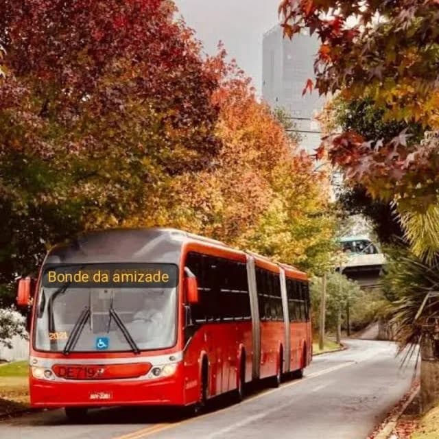 Bonde Da Amizade