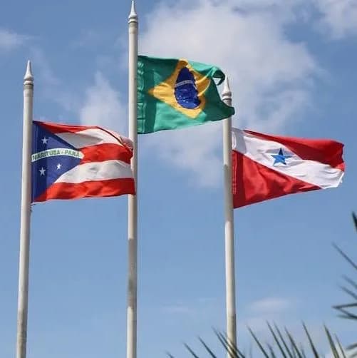 Sobre Política No Município