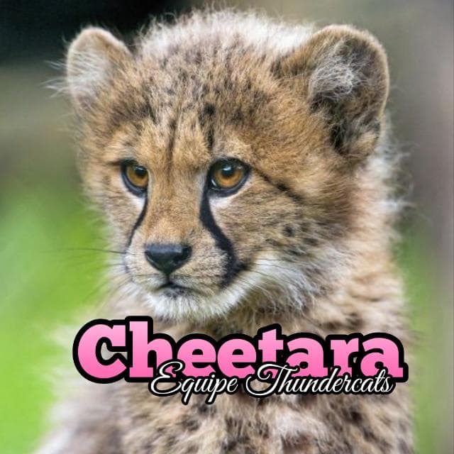 2.6 Orgh | Cheetara