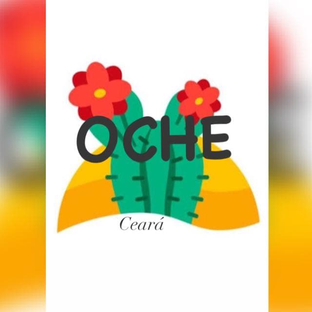 OCHE - Alunos Participantes 2024/2025 — grupos de WhatsApp