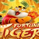 ‼️PLTFRMA CH1N3SA ‼️ — grupos de WhatsApp