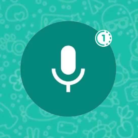 Áudios WhatsApp