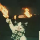 Figurinhas de Memes e Engraçadas — grupos de WhatsApp