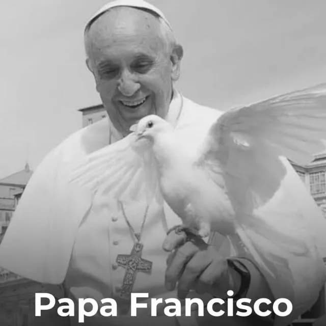Devotos do Papa Francisco