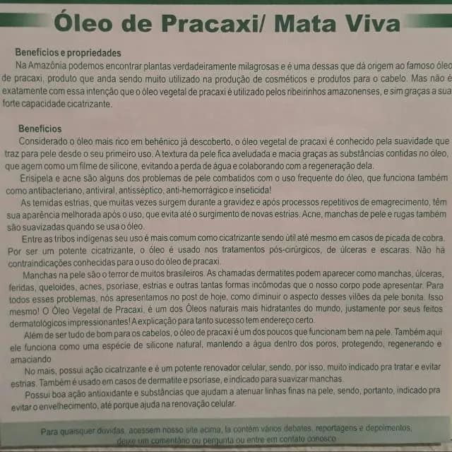 Farmacia Verde A Cura Pela Natureza
