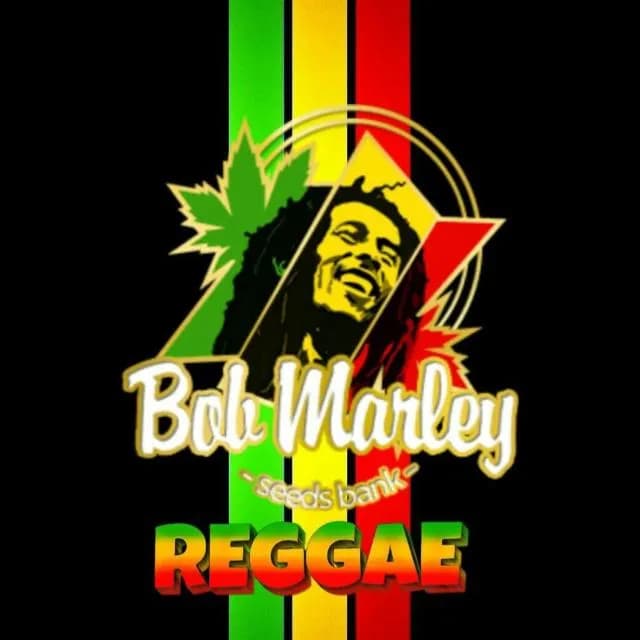 Tianguá Reggae