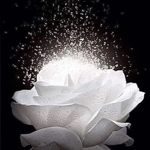 DNA Cristico Amor e Luz