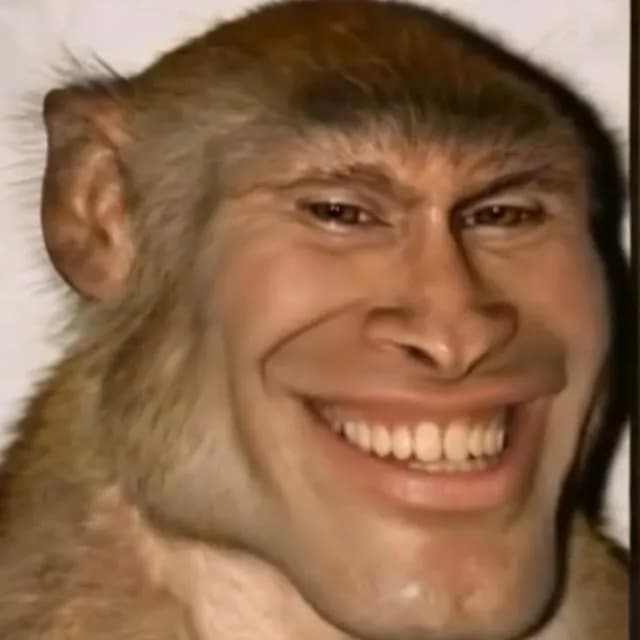 Monkeylandia