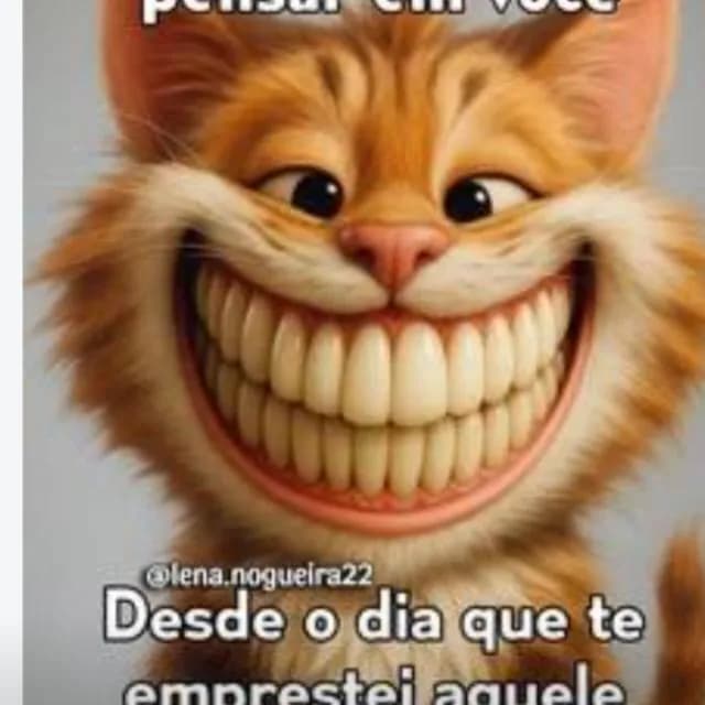 Top Videos e Figurinhas