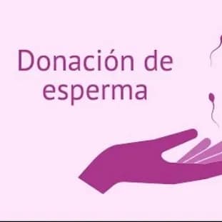 Mujeres con o sin novio y lesbianas, buscan donantes de esperma para ser madres, en Bs As, Argentina