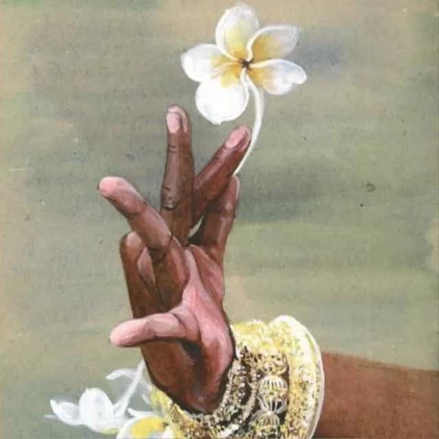 Om Paz e Equilíbrio — grupos de WhatsApp