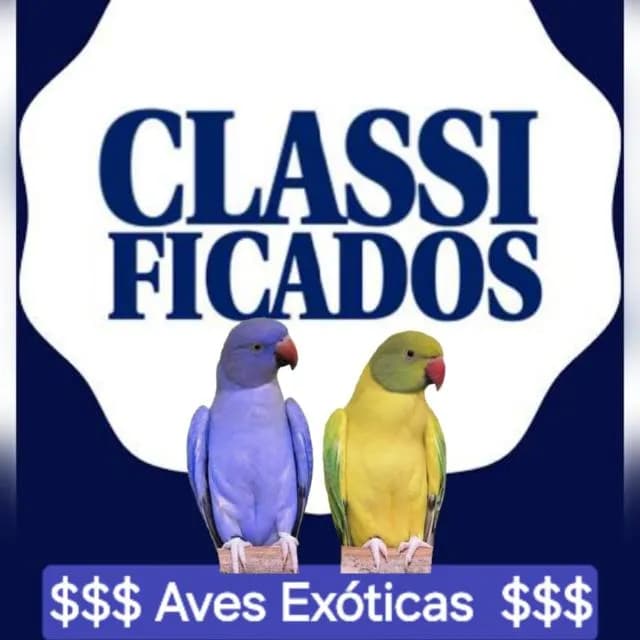 Criadores De Psitácideos DF/GO