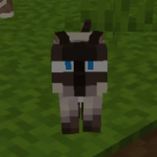 Minecraft TV Luis