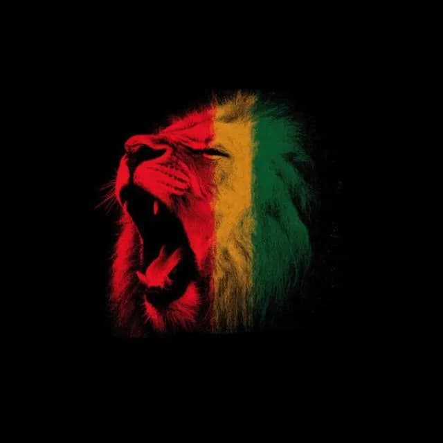 🎼ESTAÇÃO DO REGGAE🇨🇬