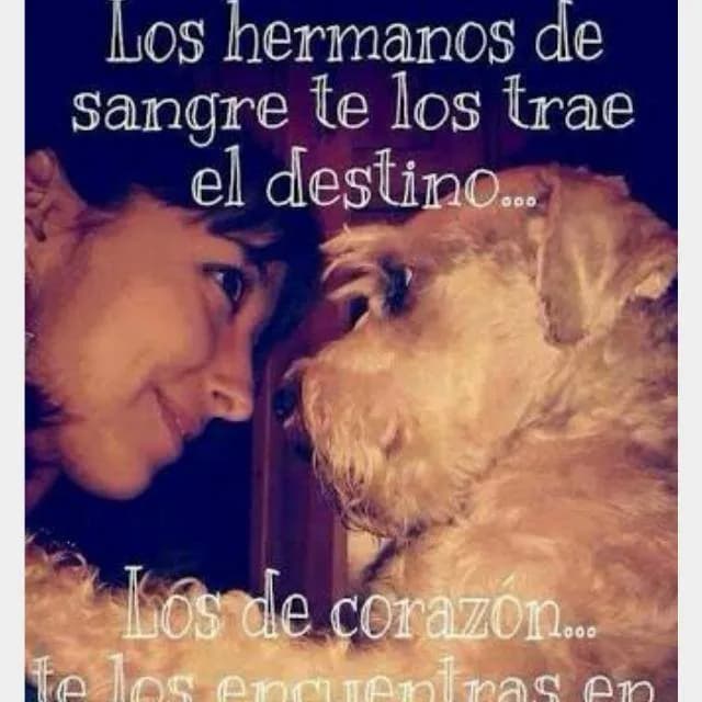 Los Hermanos
