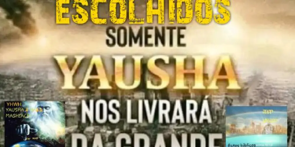 FB OS 144MIL ESCOLHIDOS 🕵🏾♂️🙌🏾🧐📖📓