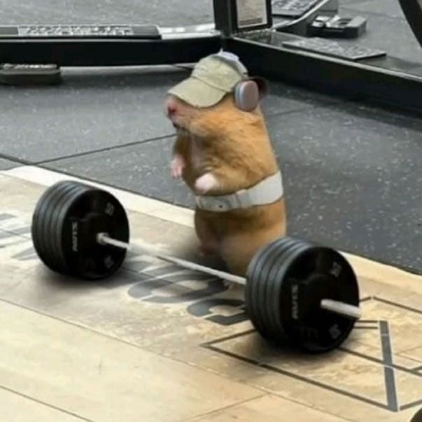 Gym Ratinhos