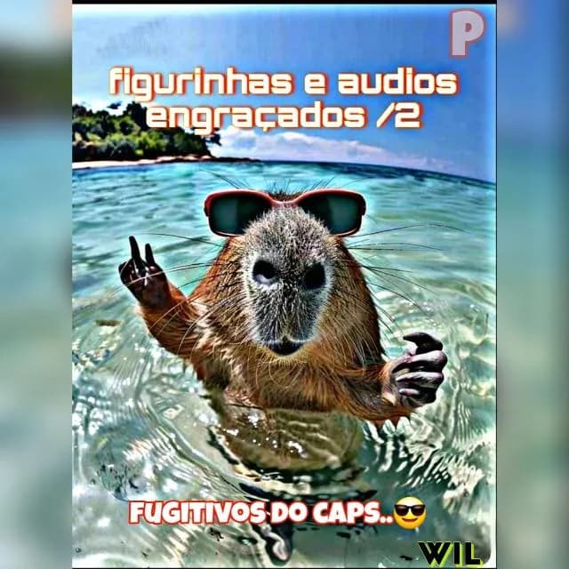 Figurinhas e Áudios