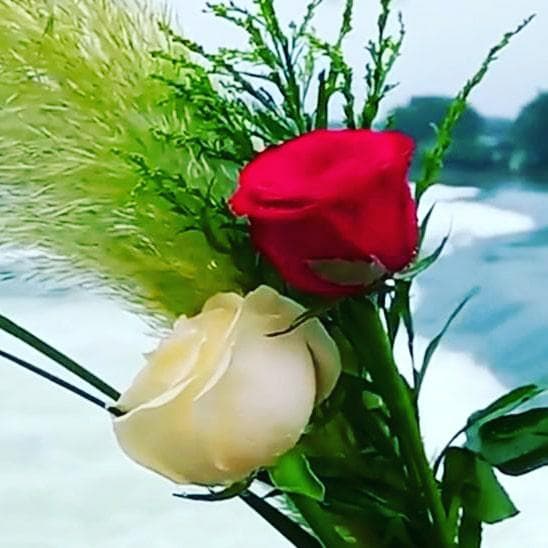 Happy Lifestyle — WhatsApp groups