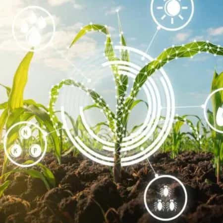 Rural — grupos de WhatsApp