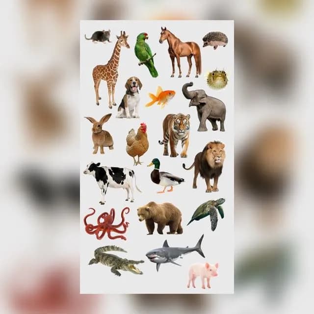 Clube Do Zoológico