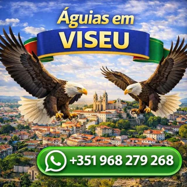 Águias Em Viseu — grupos de WhatsApp