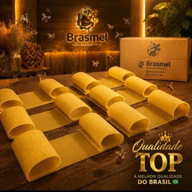 Brasmel Oficial