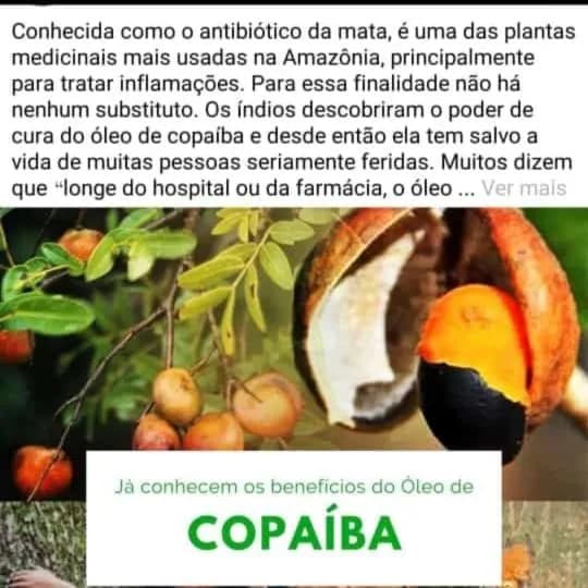 Saúde A Cura Pela Natureza