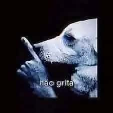Chat Web Zoeira Etc — grupos de WhatsApp